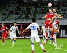 鲁豫担任董,事的公司被,执行,宝威体育官网,宝威体育直播,体育赛事直播,足球直播