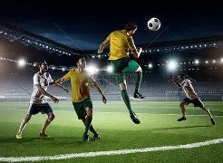 传奇续写,非洲杯冠军,再闯八强,宝威体育官网,宝威体育直播,体育赛事直播,足球直播