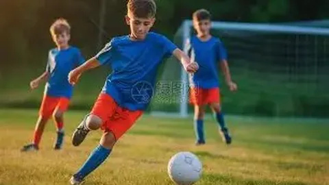 宝威体育 产品 033253 t7s