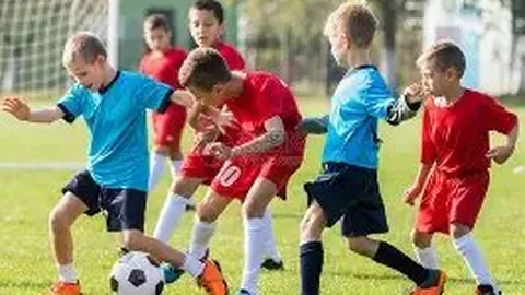 宝威体育 产品 033305 xul