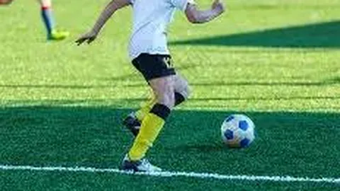 宝威体育 产品 111312 xu2