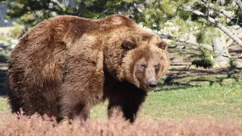 俞俐均微博预告315浙大行活动，七年后再聚引发热切期待