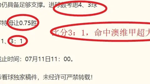宝威体育 131154 9