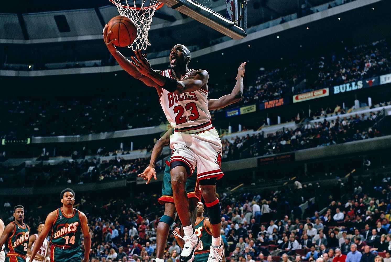 社交平台上 社交平台上